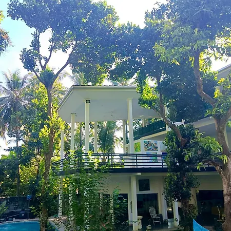 Skylodge B&B - North Bali Jungle Retreat With Fine Dining & Eco Pool